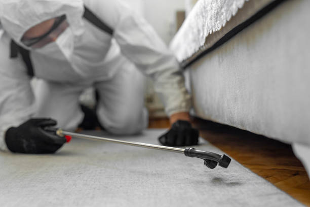Professional Cockroach Control technician working in Island Walk, FL