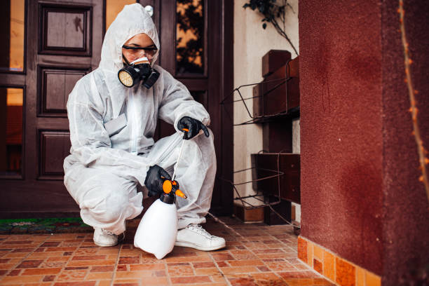 Reliable Cockroach Control contractor in Island Walk, FL by Nex Pest Control