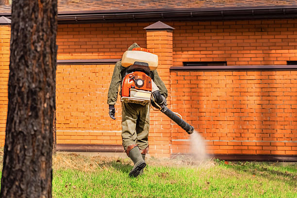 Trusted Cockroach Control service in Island Walk, FL - Nex Pest Control